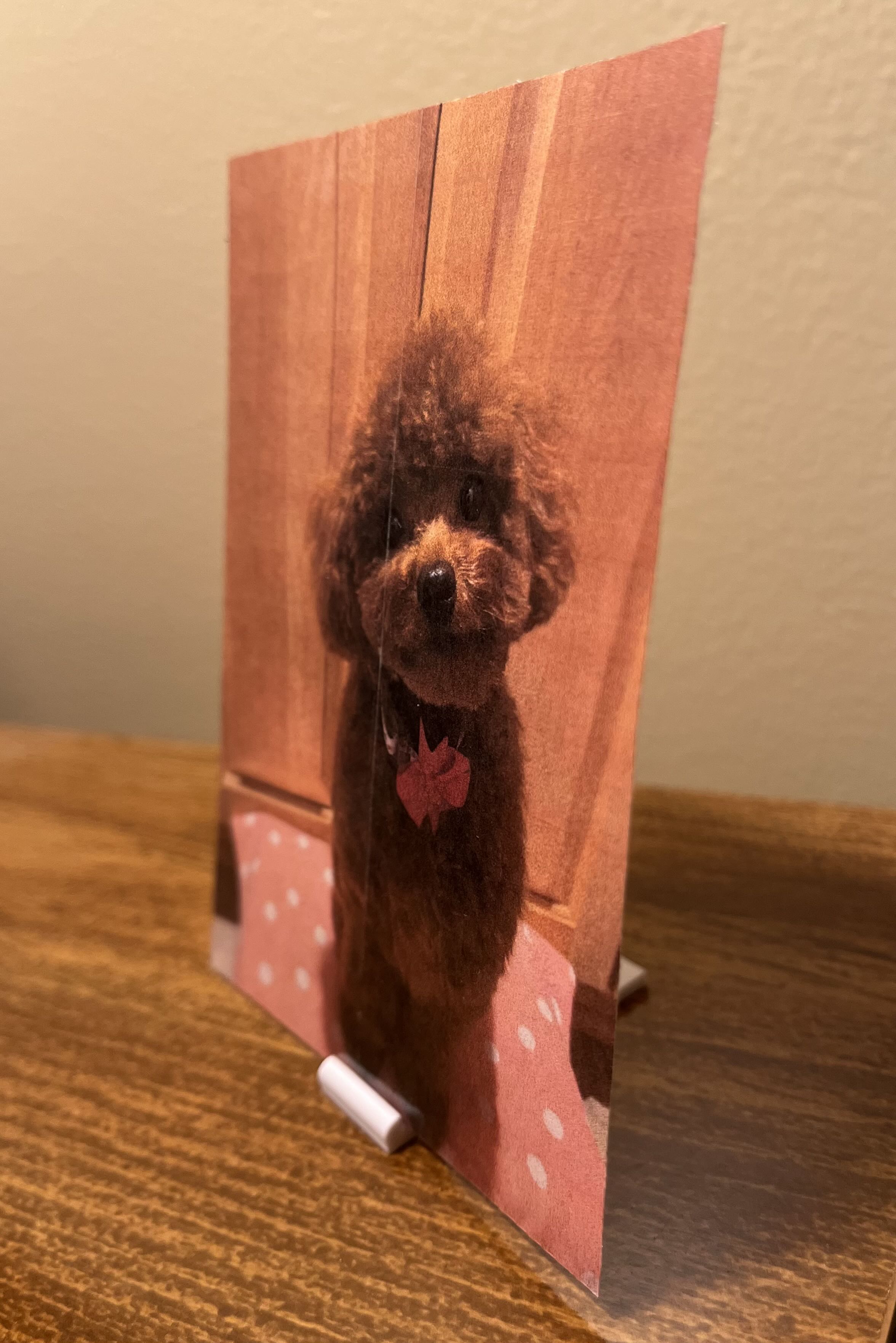 Picture stand with an example picture inside