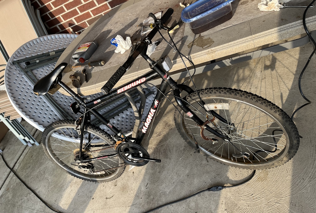 Magna Rebound 12 speed bicycle repairs